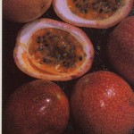 Passionfruit