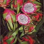 Pitaya